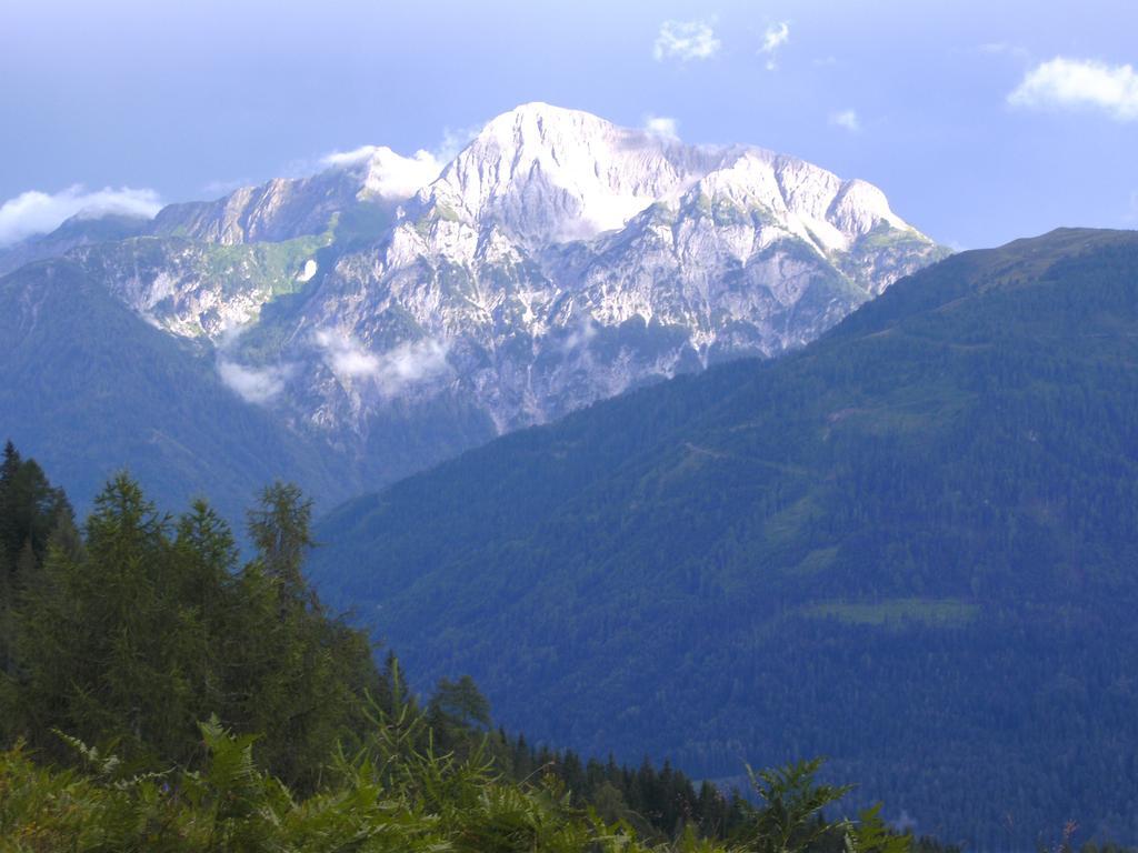 Gasthof Zum Loewen Sankt Jakob im Lesachtal Luaran gambar