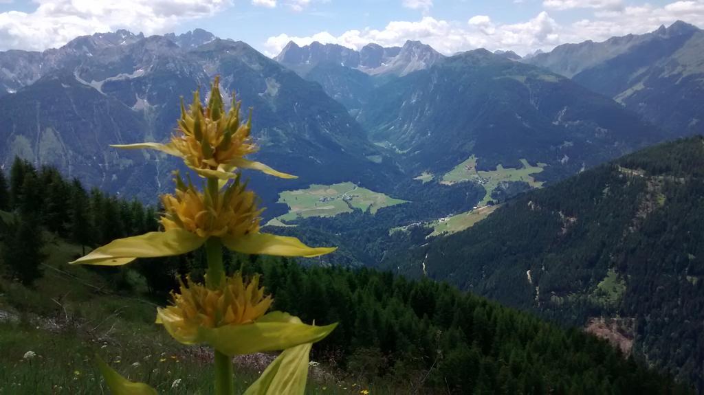 Gasthof Zum Loewen Sankt Jakob im Lesachtal Luaran gambar