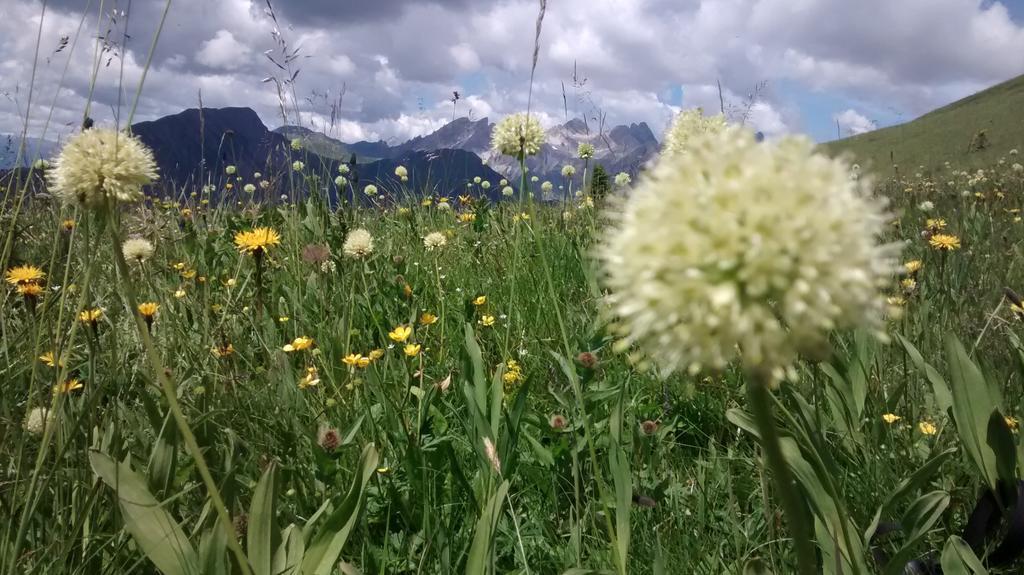 Gasthof Zum Loewen Sankt Jakob im Lesachtal Luaran gambar
