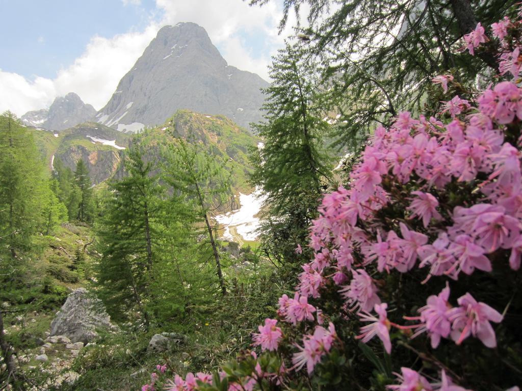 Gasthof Zum Loewen Sankt Jakob im Lesachtal Luaran gambar