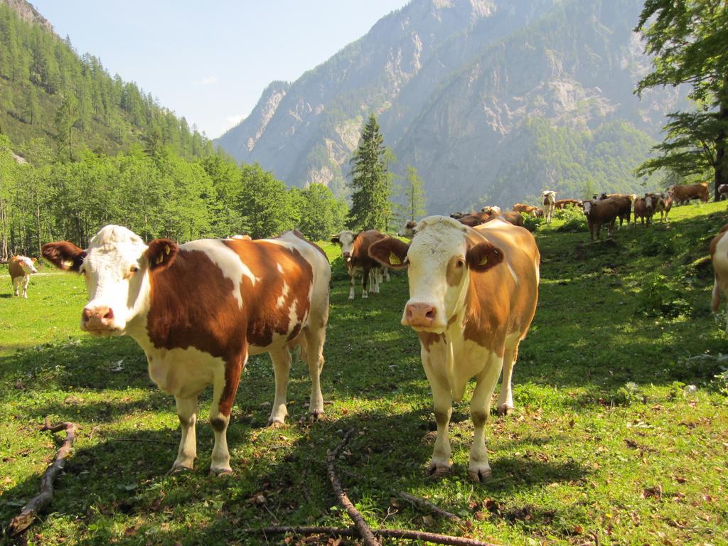 Gasthof Zum Loewen Sankt Jakob im Lesachtal Luaran gambar